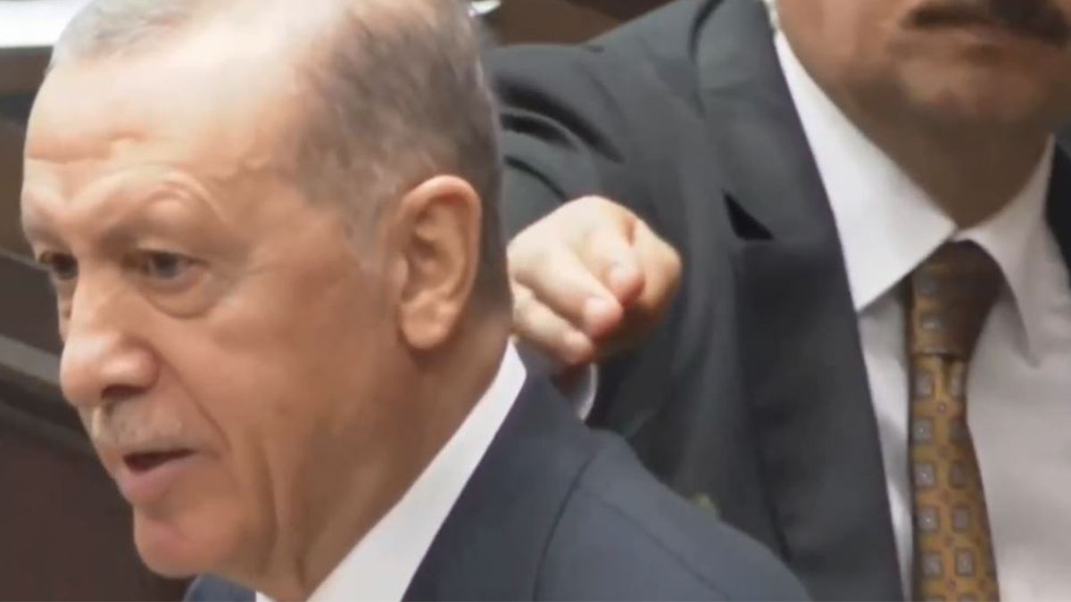 На Ердогана сіла оса На Ердогана сіла оса