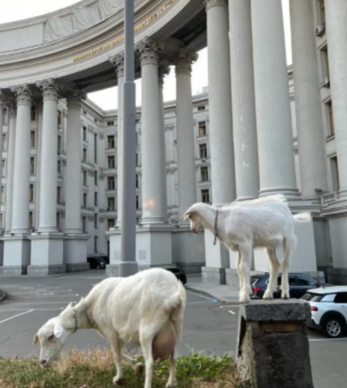 Кози Зіта і Міра біля МЗС у Києві