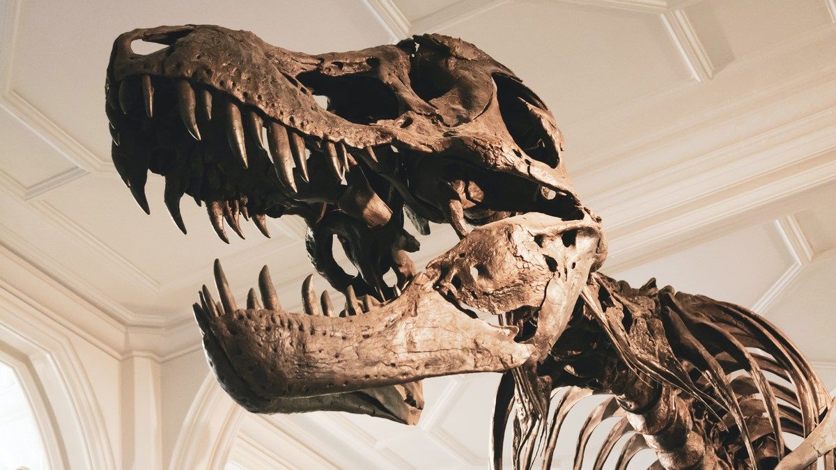 Вчені визначили, що деякі динозаври відкладали яйця, поверхня яких нагадувала шкіру
