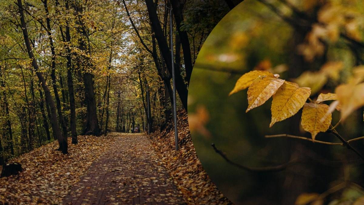 Прогноз погоди на 18 листопада Прогноз погоди на 18 листопада