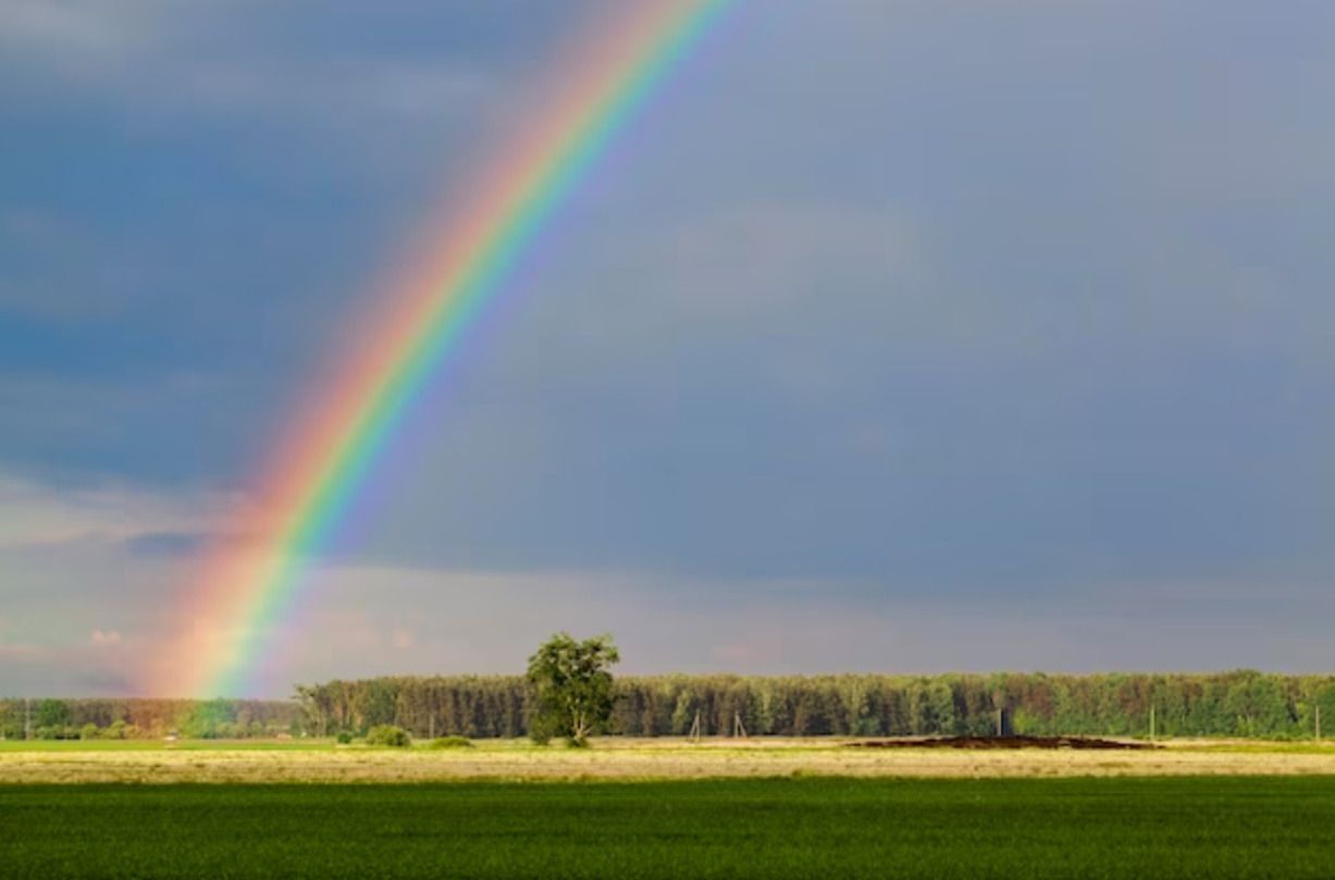 Радуга на украинском языке - как правильно сказать об этом явлении на украинском Радуга на украинском языке - как правильно сказать об этом явлении на украинском