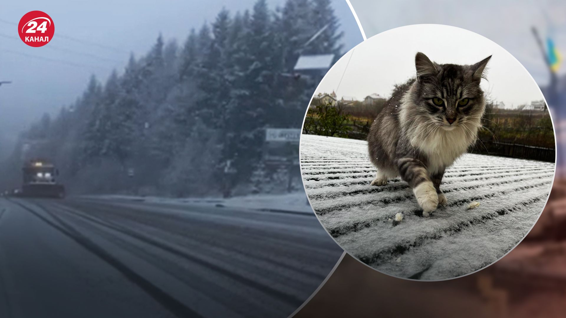 Первый снег во Львове. Первый снег во Львове.