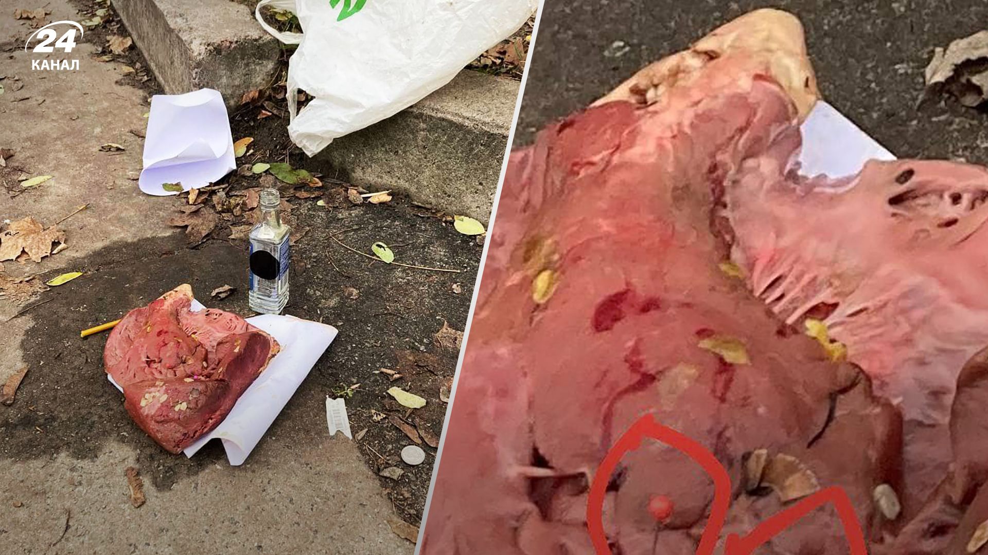 У Києві м'ясом з голками труять домашніх і вуличних собак - деталі