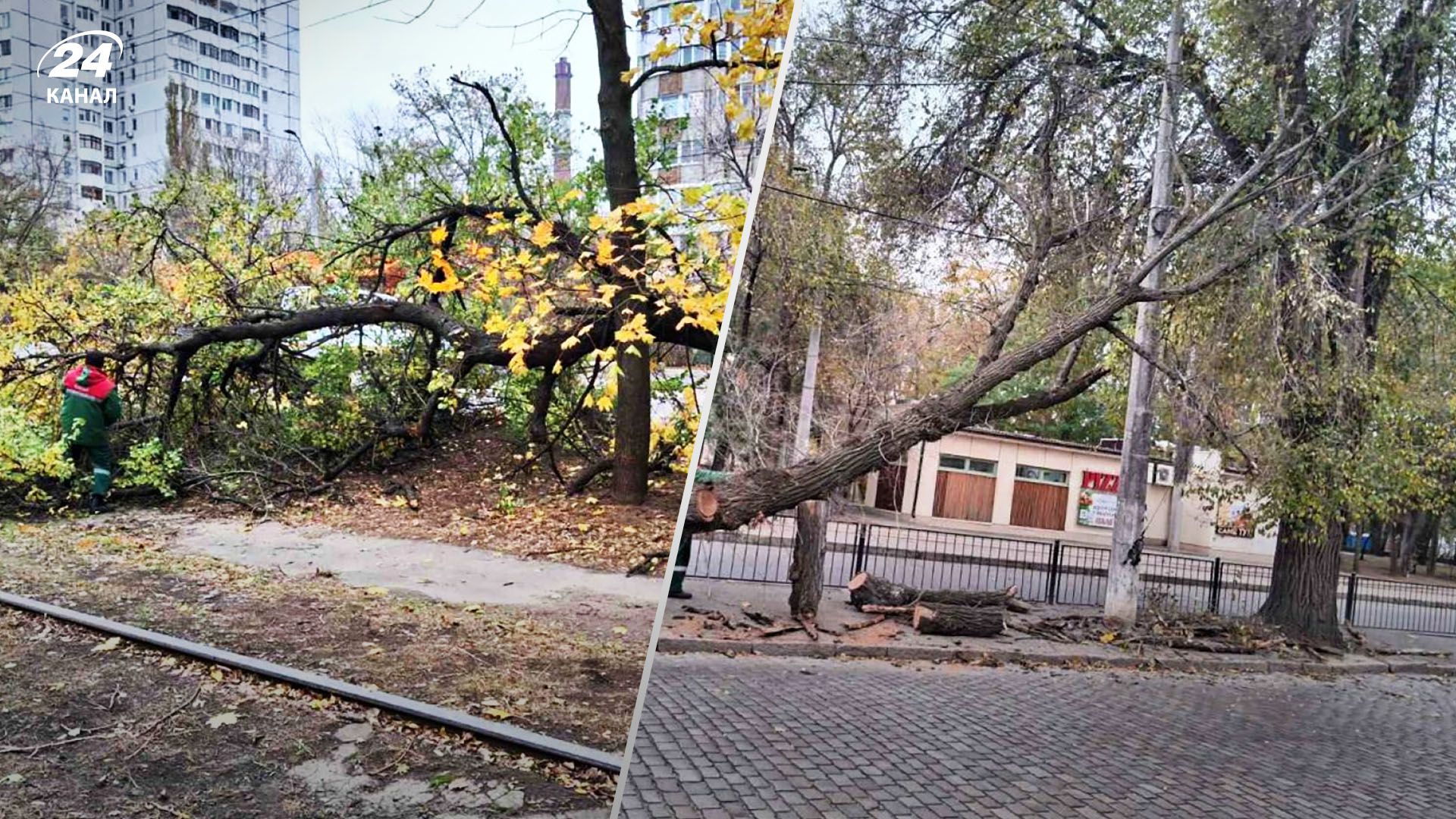 Непогода в Одессе 18 ноября 2023 года - свергнуты десятки деревьев