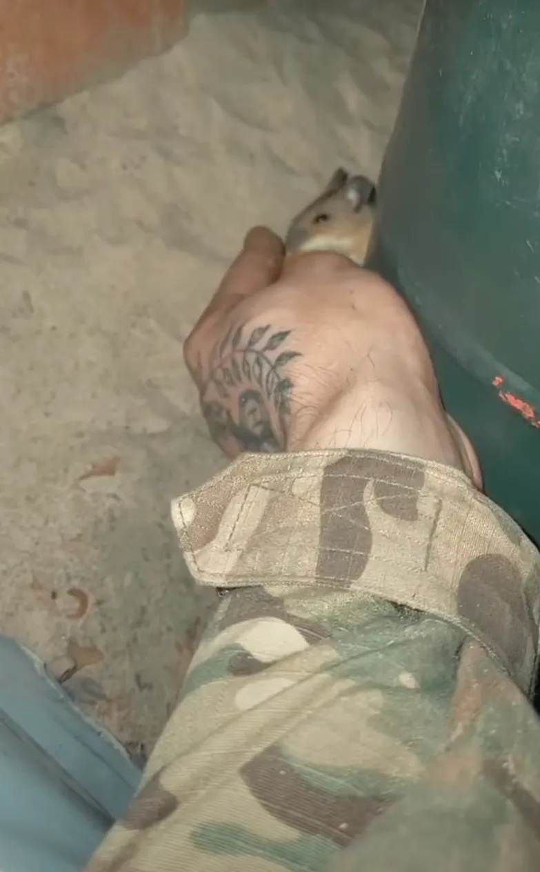 Микола підгодовує мишу Микола підгодовує мишу