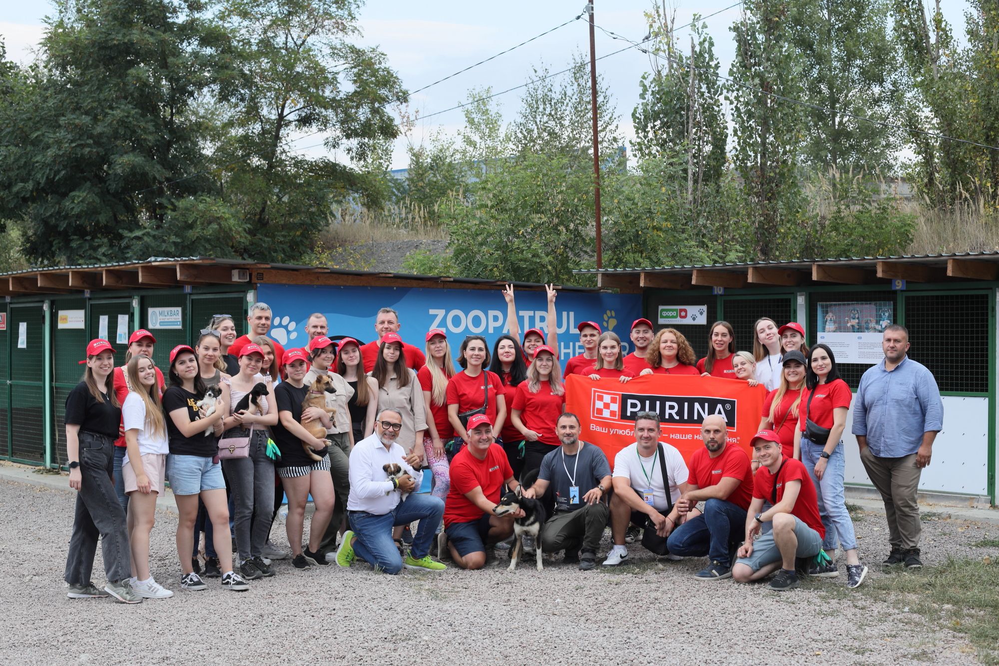 Поруч, щоб допомагати: Purina® та Зоопатруль об’єдналися для порятунку тварин - 24 Канал Поруч, щоб допомагати: Purina® та Зоопатруль об’єдналися для порятунку тварин - 24 Канал