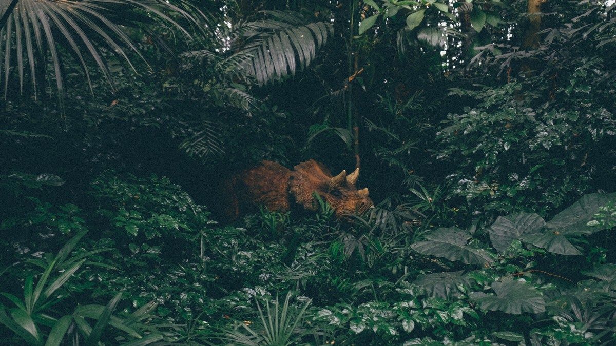 На новом интерактивном сайте можно узнать, какие динозавры ходили рядом с вашим домом На новом интерактивном сайте можно узнать, какие динозавры ходили рядом с вашим домом