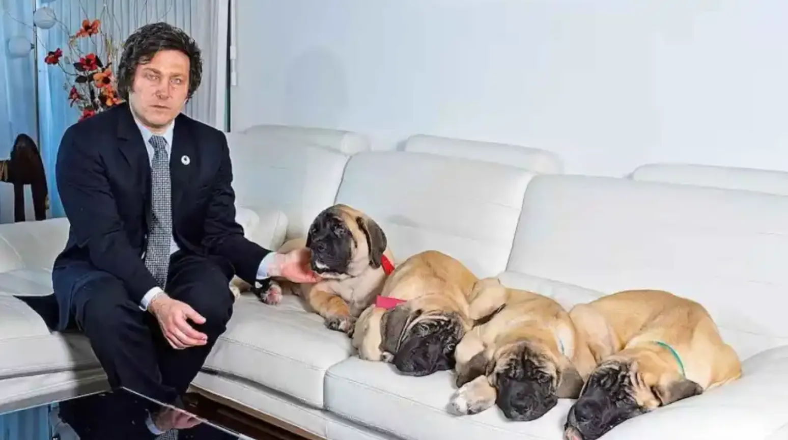 Мілей і його собаки Мілей і його собаки