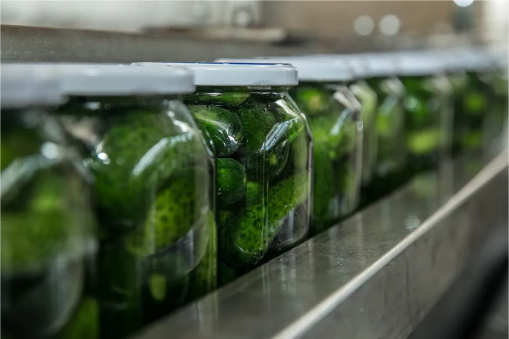 Консервированные огурцы Консервированные огурцы