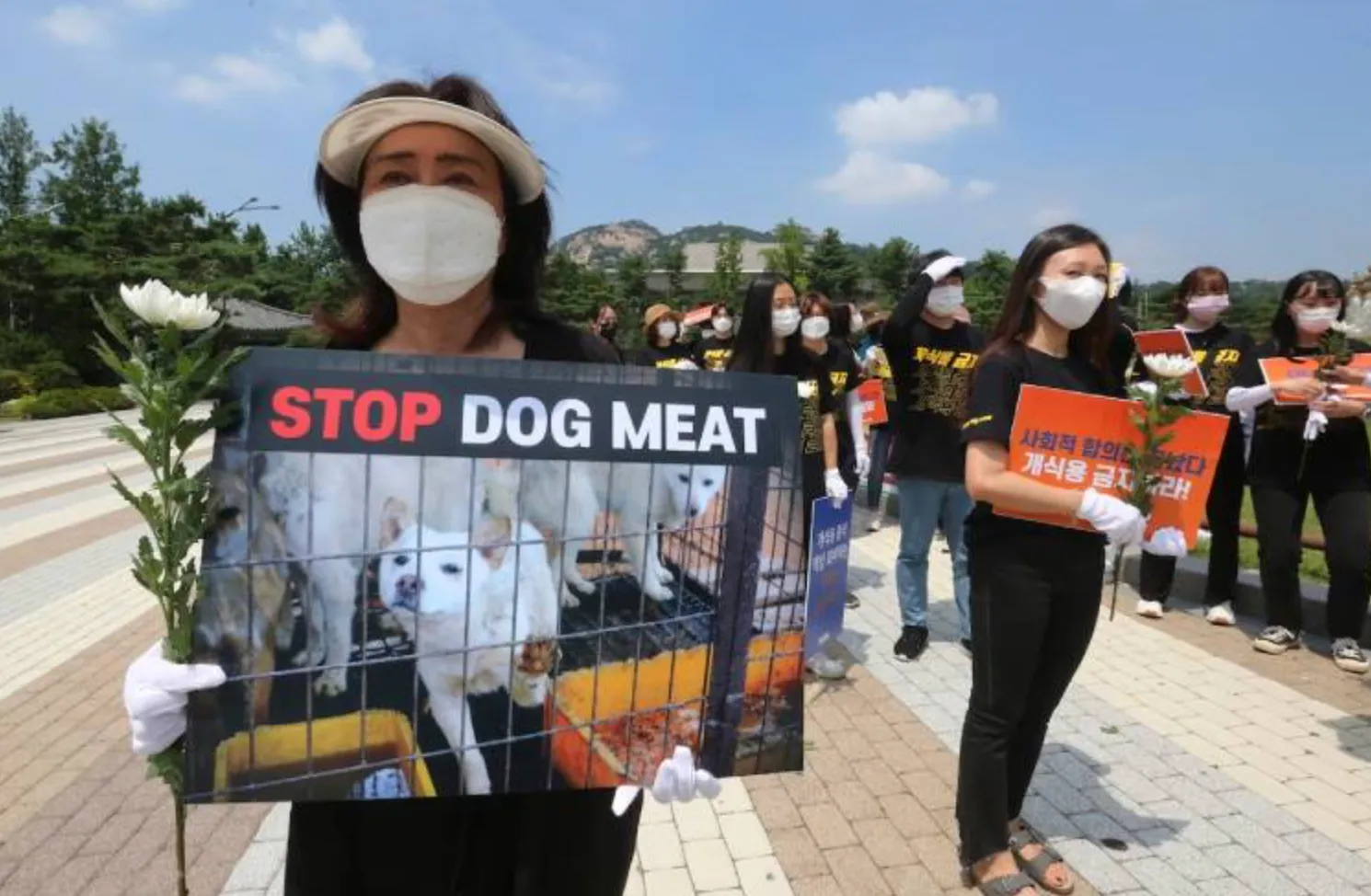 Южнокорейские активисты за права животных на митинге против употребления в пищу собачьего мяса
