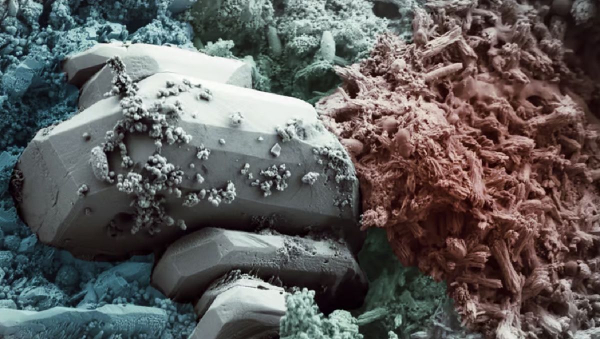 Цветное изображение самовосстанавливаемого бетона BioFiber