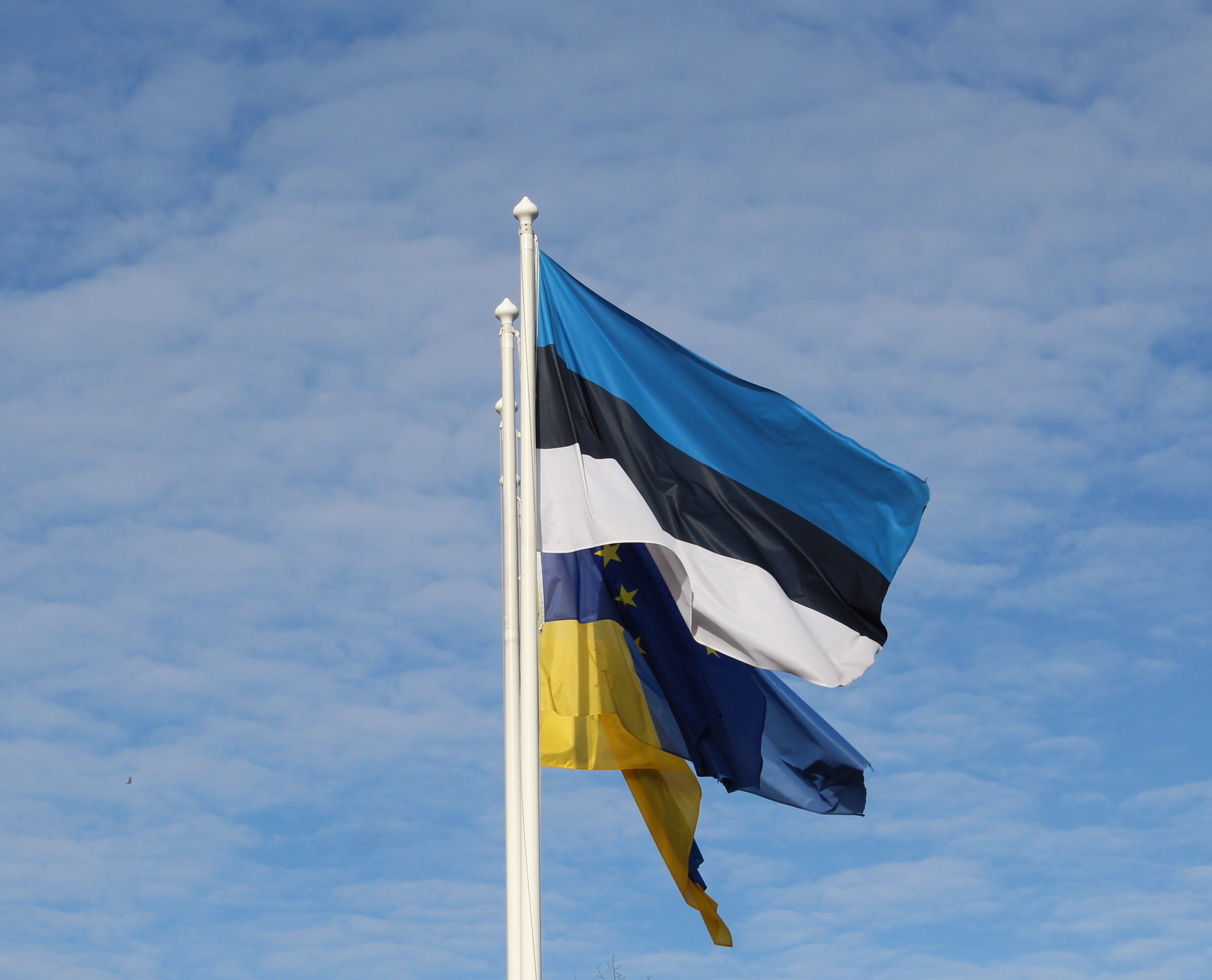 Як Естонія допомагає Україні