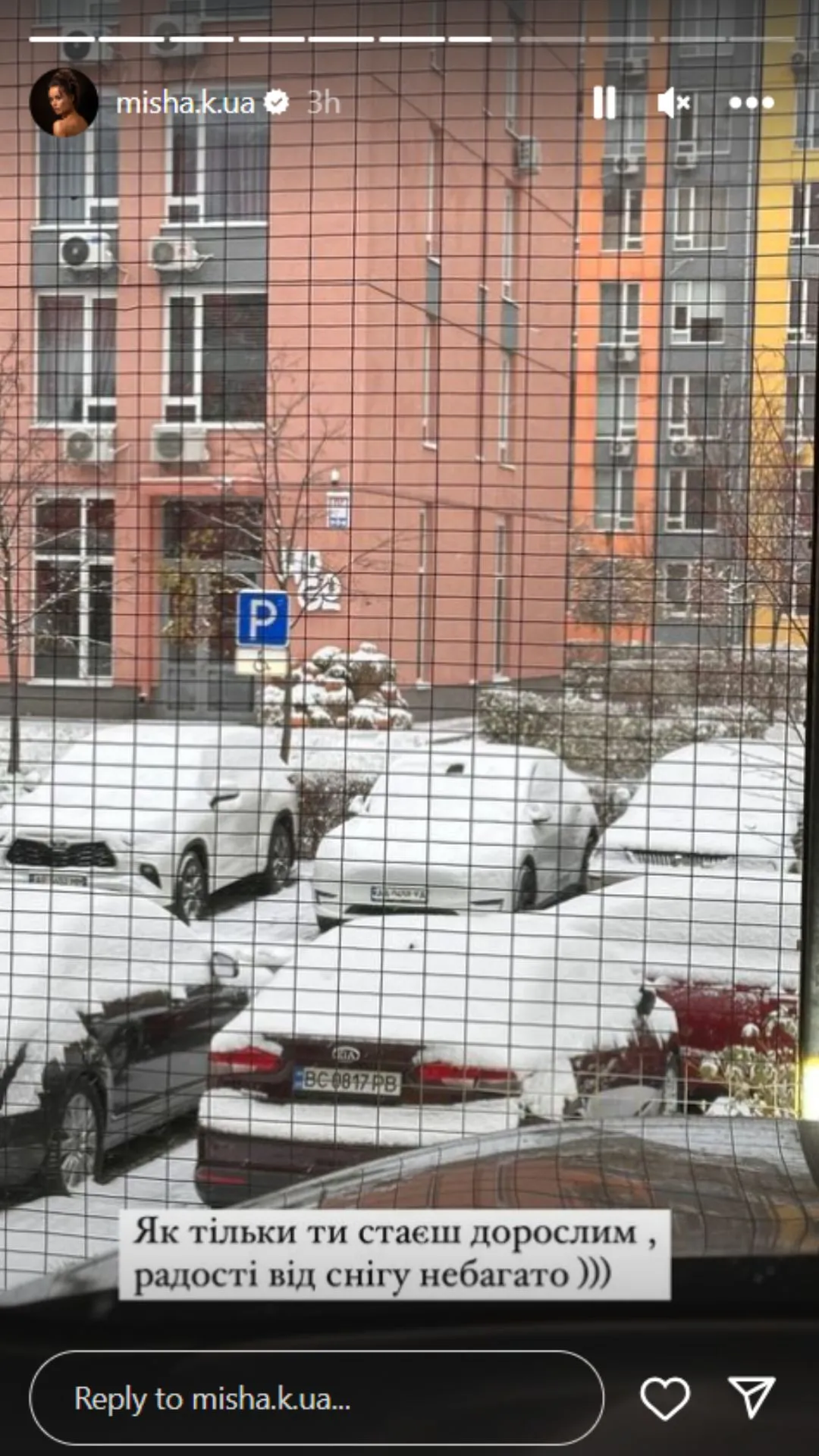 Ксенія Мішина показала, що на вулиці випав сніг