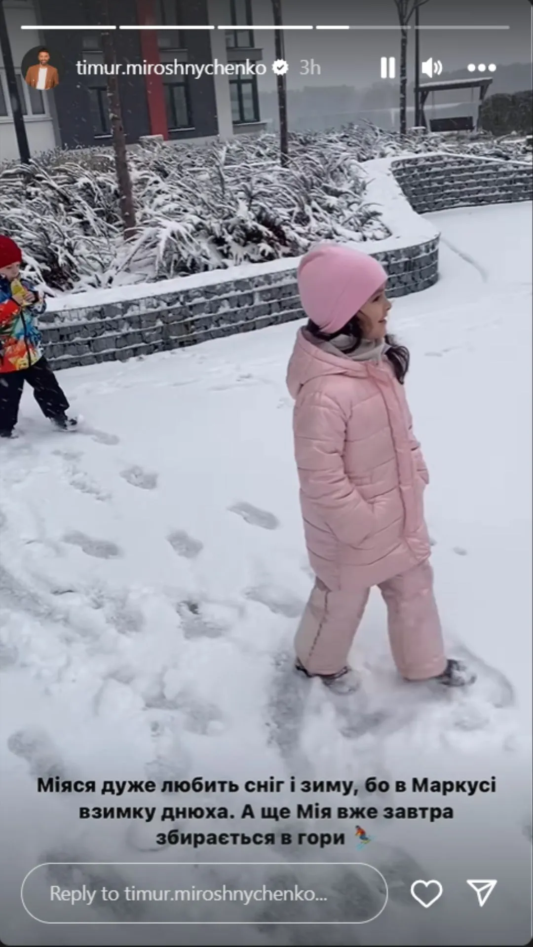 Тімур Мірошниченко показав, як його діти радіють снігу 