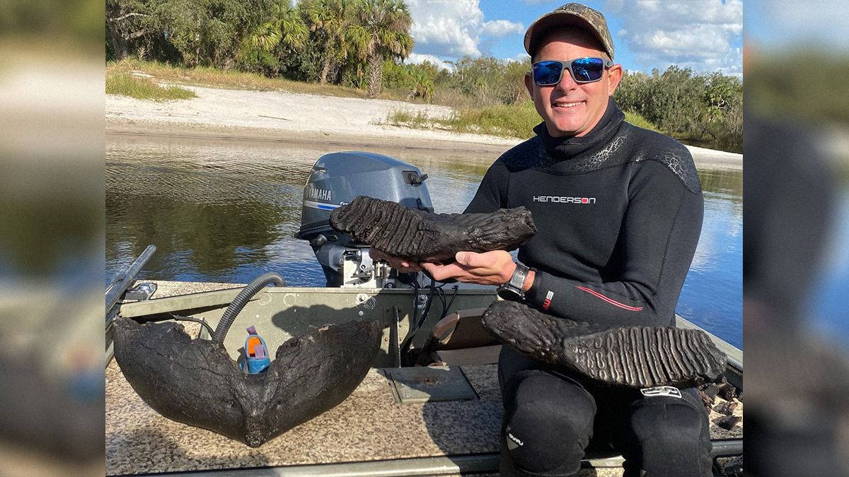 Величезну щелепу мамонта віком щонайменше 10 000 років витягли з річки у Флориді Величезну щелепу мамонта віком щонайменше 10 000 років витягли з річки у Флориді