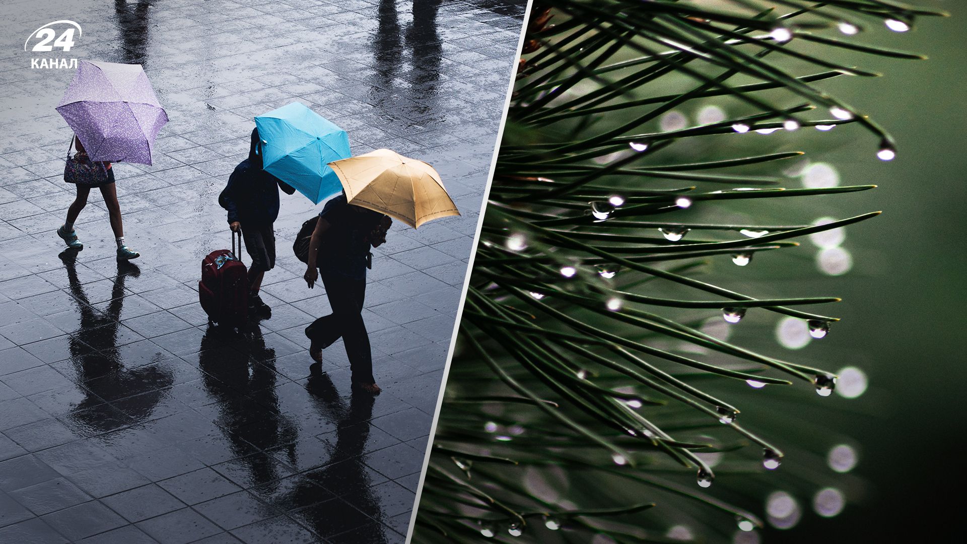 Якою буде погода в Україні 24 листопада 2023 року - Новини України Якою буде погода в Україні 24 листопада 2023 року - Новини України