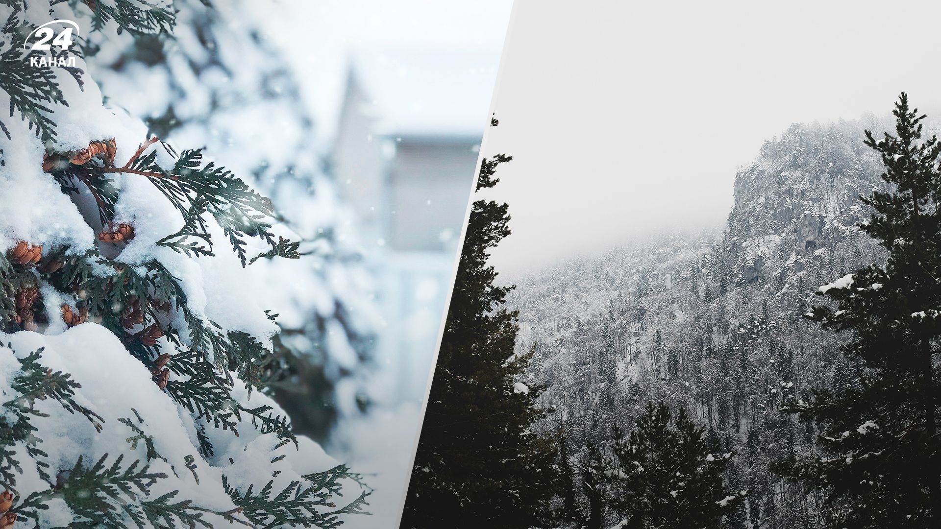 Погода в Україні - 26 - 27 листопада 2023 прогнозують сильні снігопади та ожеледь Погода в Україні - 26 - 27 листопада 2023 прогнозують сильні снігопади та ожеледь