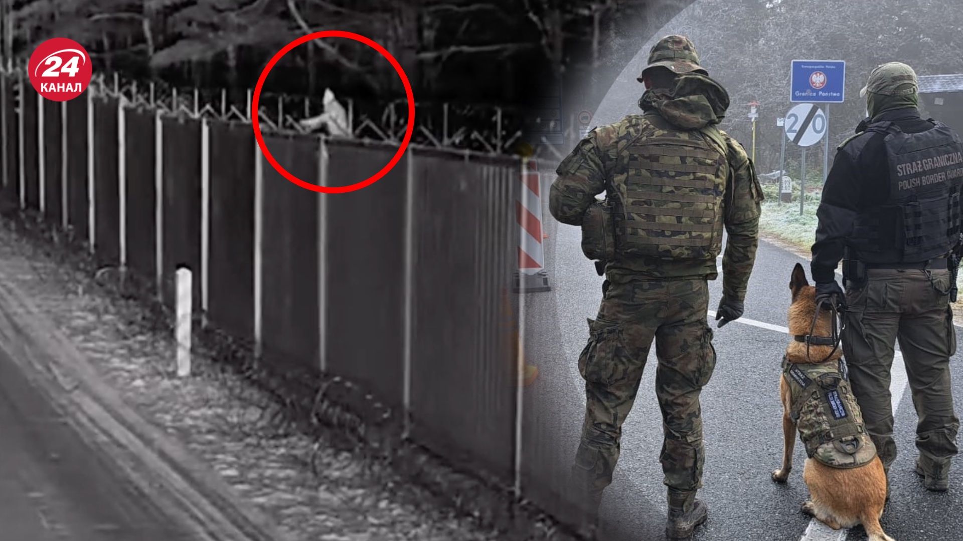 Нелегалы пытались пересечь границу с Польшей Нелегалы пытались пересечь границу с Польшей