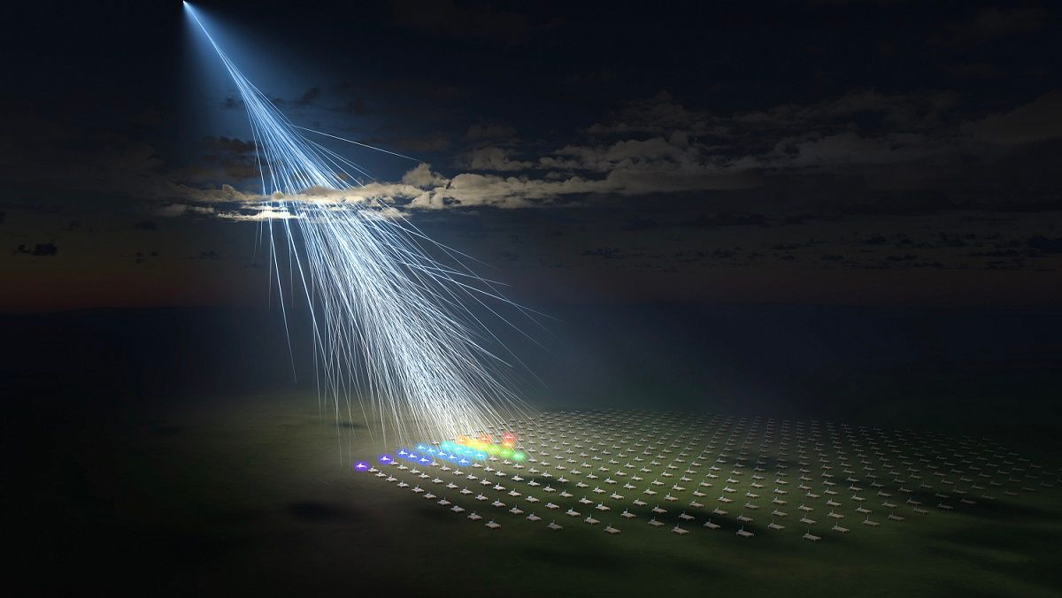 Ілюстративне фото Ілюстративне фото