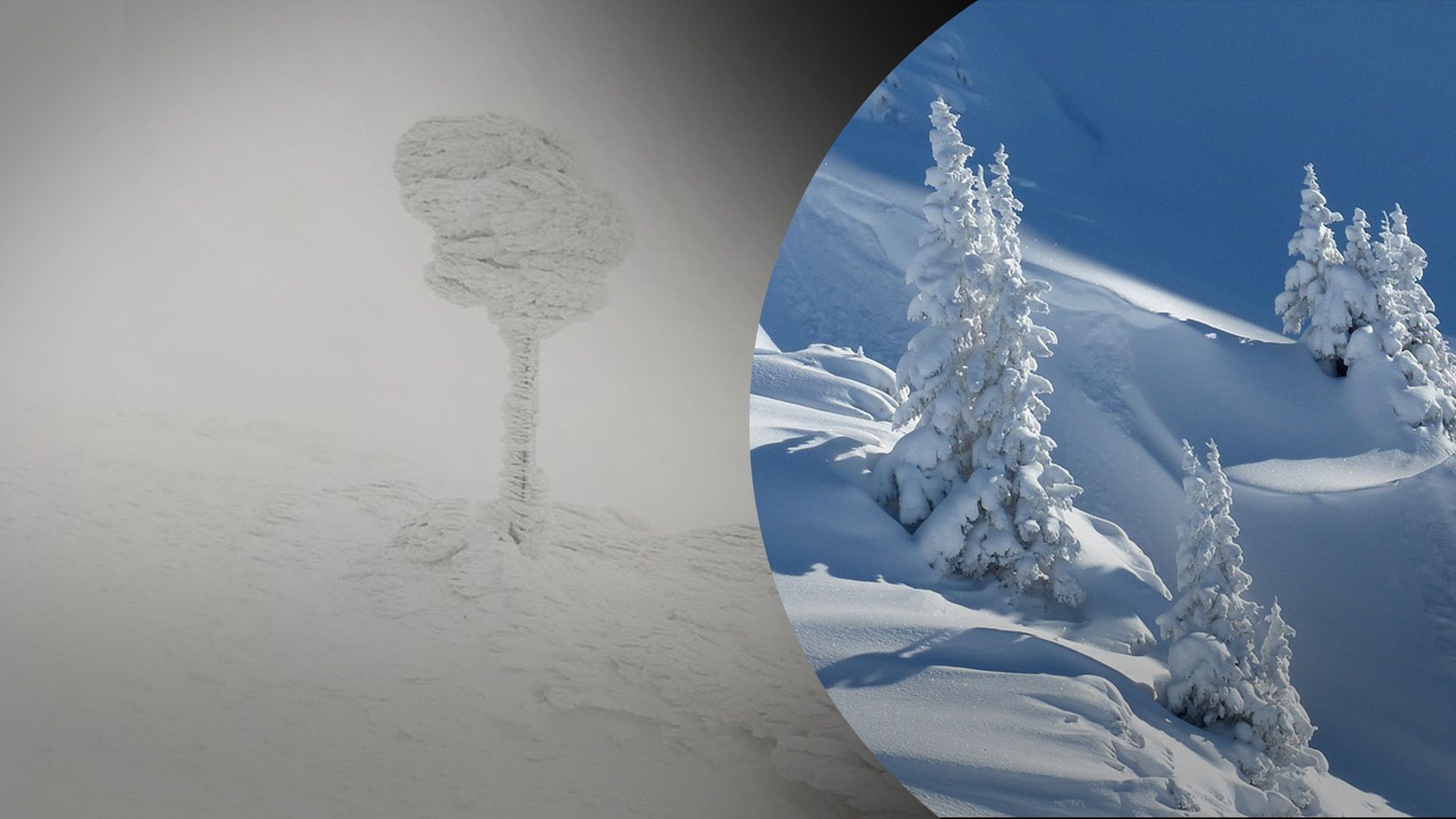 У Карпатах сніг та мороз У Карпатах сніг та мороз