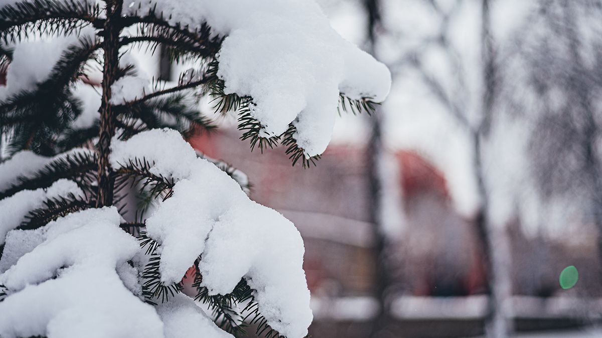 В Украине резко ухудшится погода - в Украину идут снегопады и метели - 24 Канал
