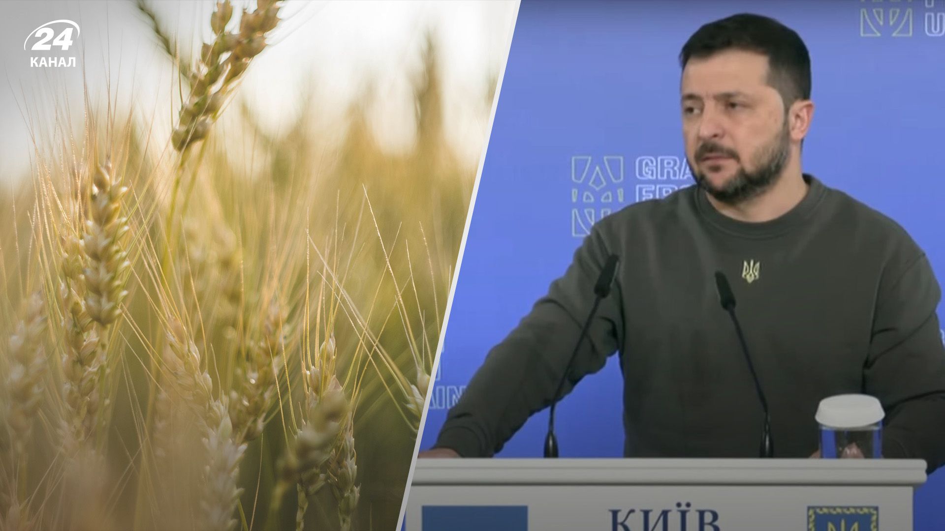 Зеленський розповів, як Україна забезпечить безпеку "зернового коридору".