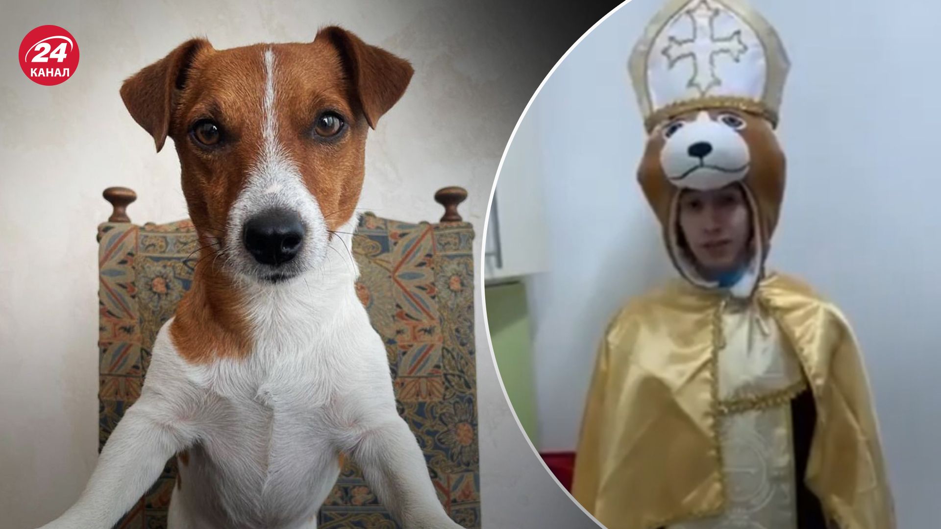 Росіяни створили пропагандистський роликпро пса Патрона Росіяни створили пропагандистський роликпро пса Патрона