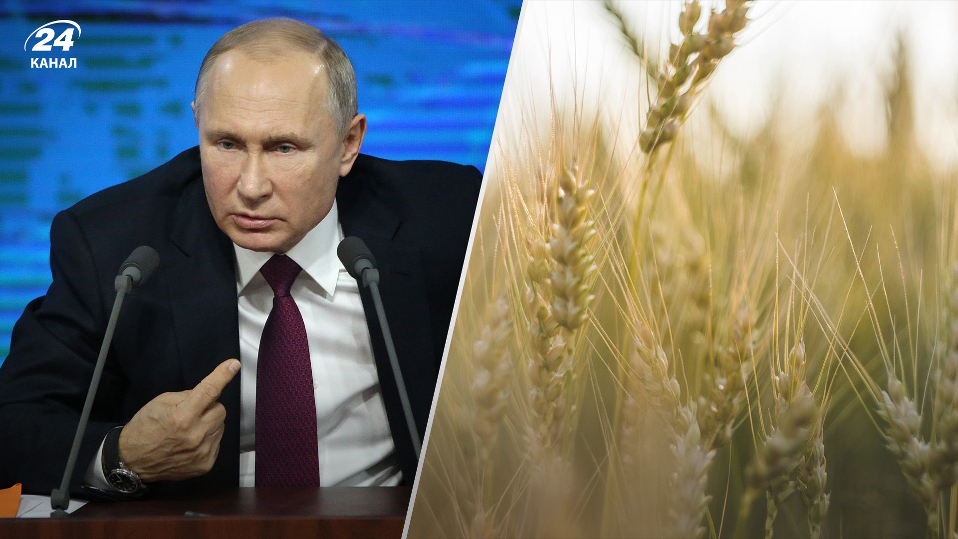 Россия передаст странам Африки зерно Россия передаст странам Африки зерно