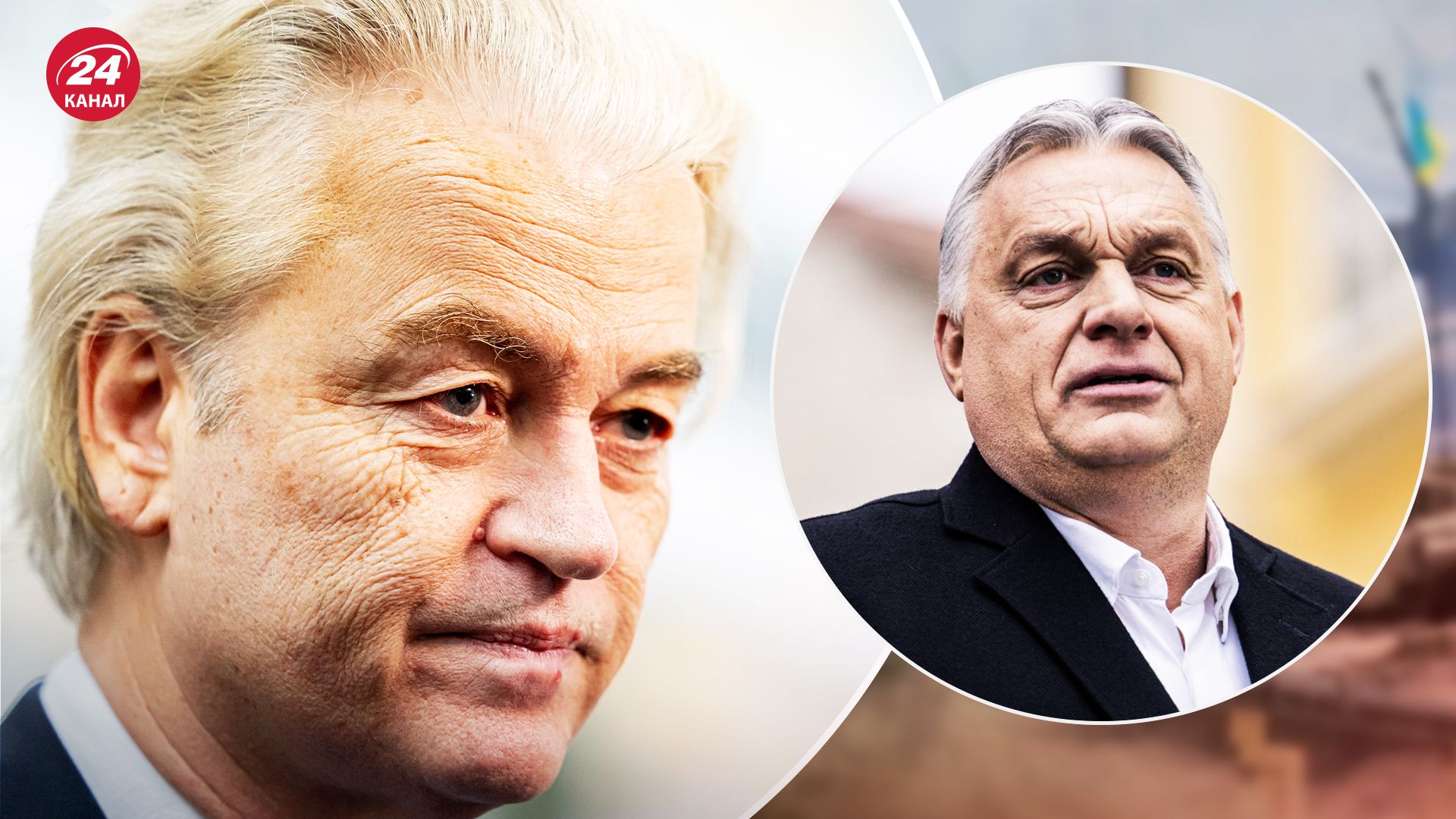 Які результати виборів у Нідерландах Які результати виборів у Нідерландах