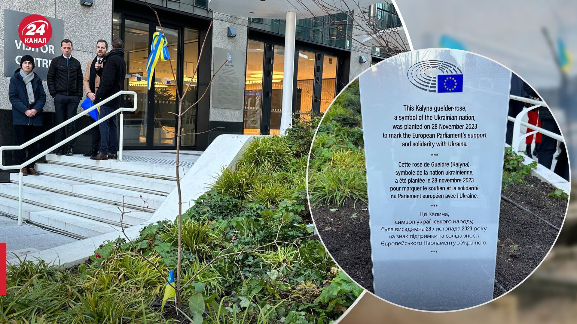 Біля Європарламенту висадили кущ калини Біля Європарламенту висадили кущ калини