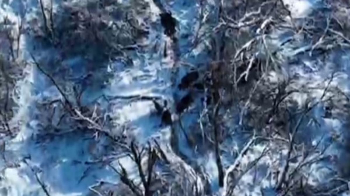 Узимку чи влітку значно простіше побачити ворога згори Узимку чи влітку значно простіше побачити ворога згори