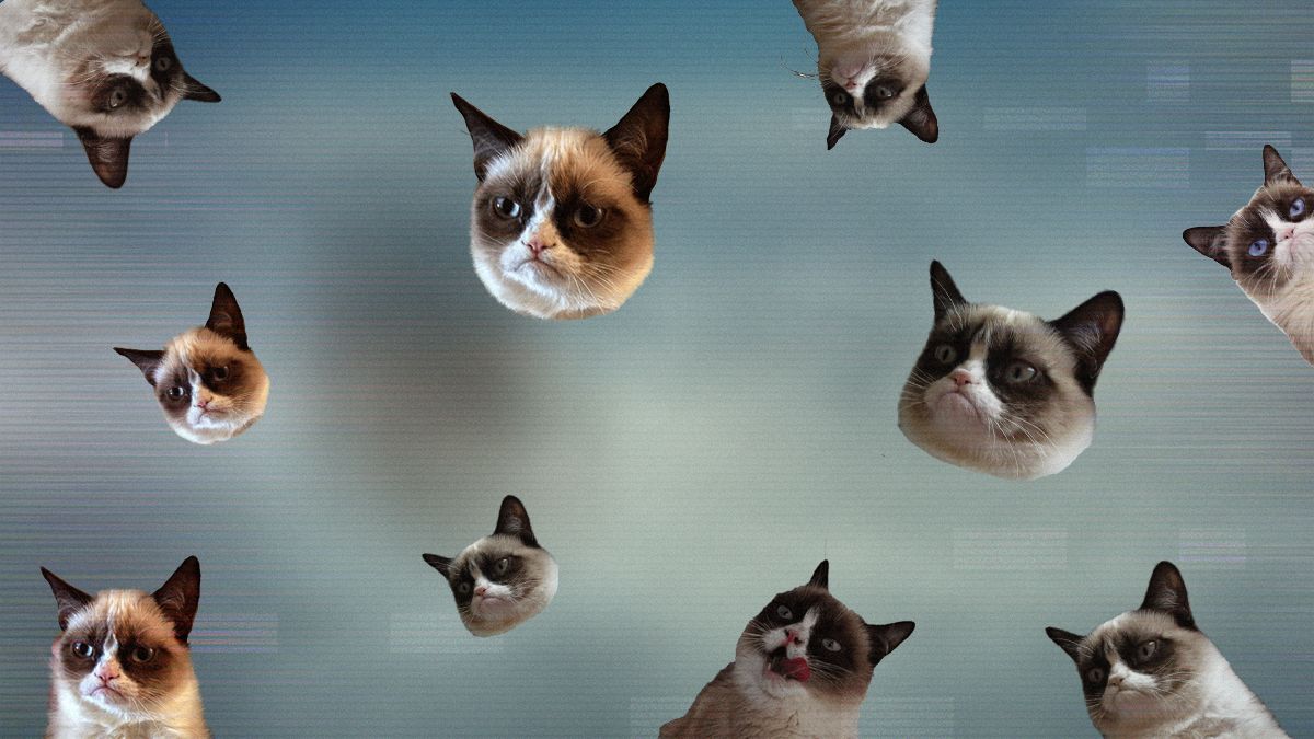 Google відкриває реєстрацію нового мемного домену для жартівливих сайтів Google відкриває реєстрацію нового мемного домену для жартівливих сайтів