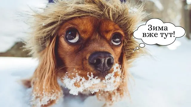 С первым днем зимы С первым днем зимы