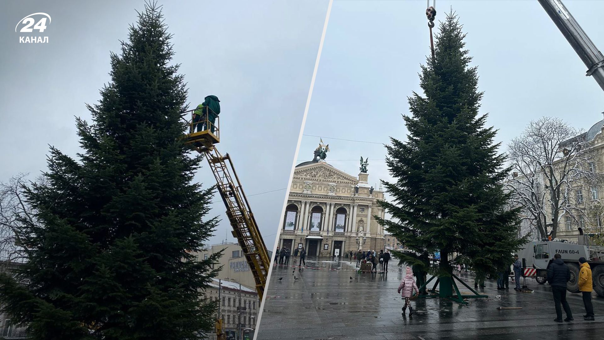 Во Львове установили главную елку города