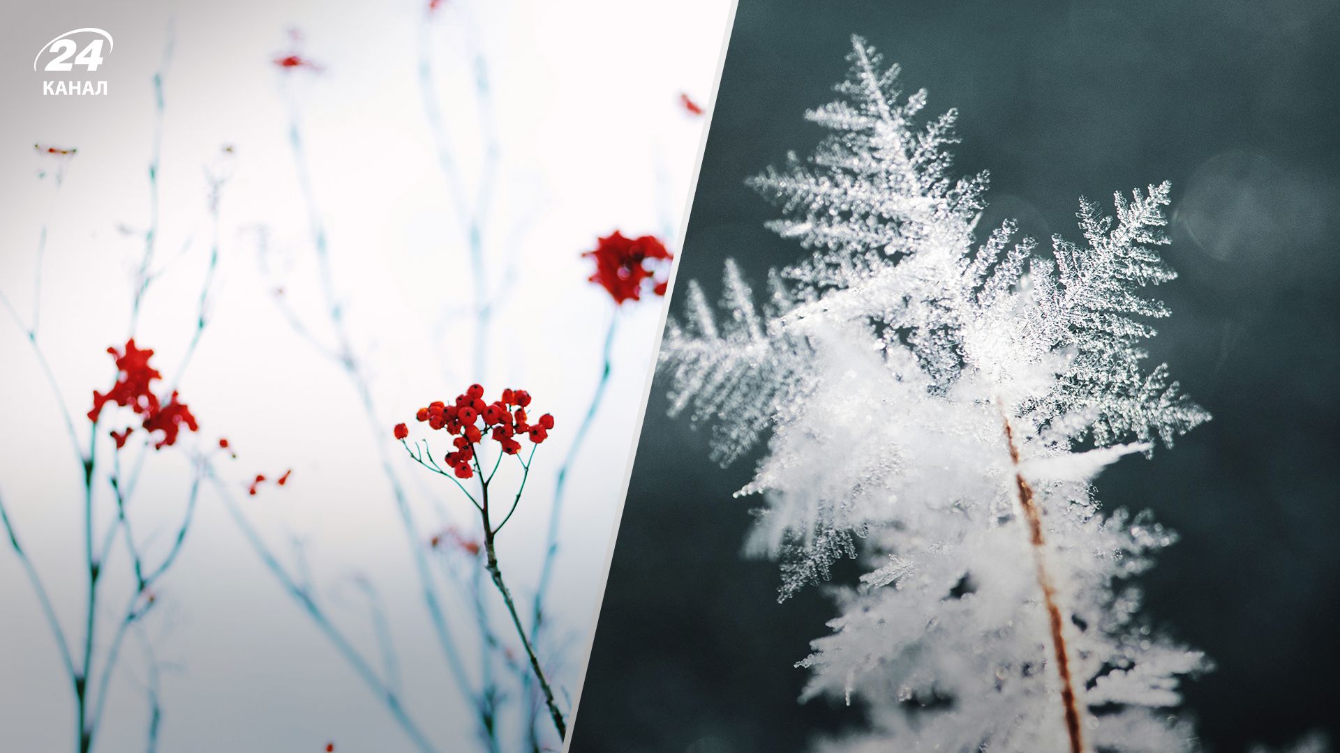 Погода в Україні - де упуститься температура до - 20 Погода в Україні - де упуститься температура до - 20