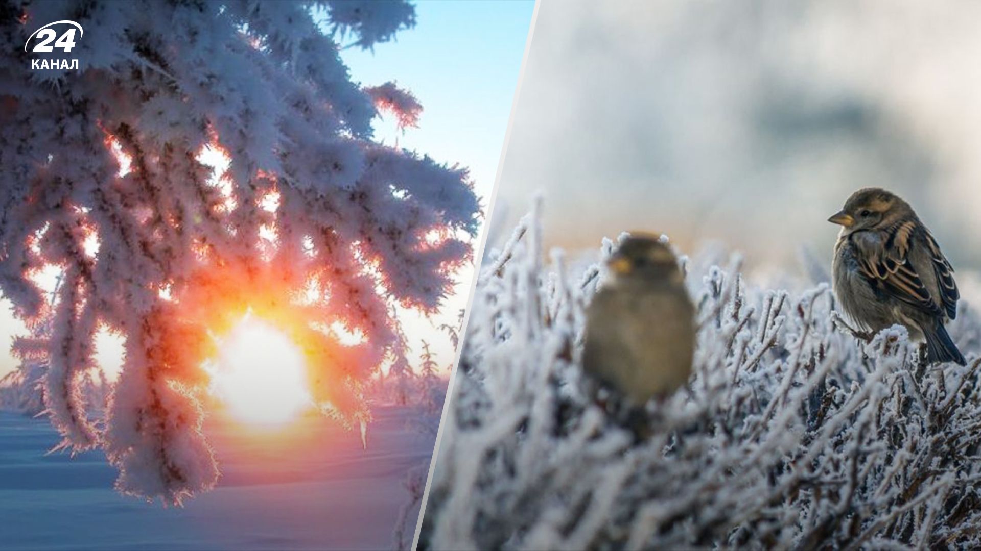 Прогноз погоди в Україні 4 грудня Прогноз погоди в Україні 4 грудня