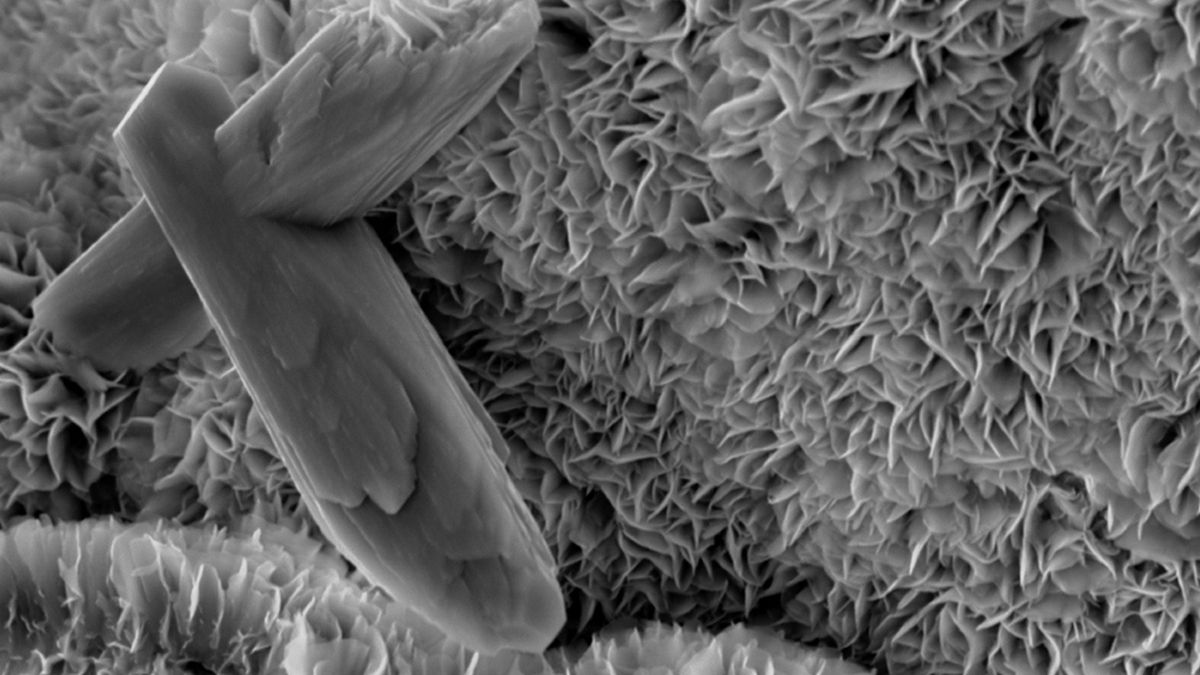 Материал смектит может спасти человечество от глобального потепления Материал смектит может спасти человечество от глобального потепления