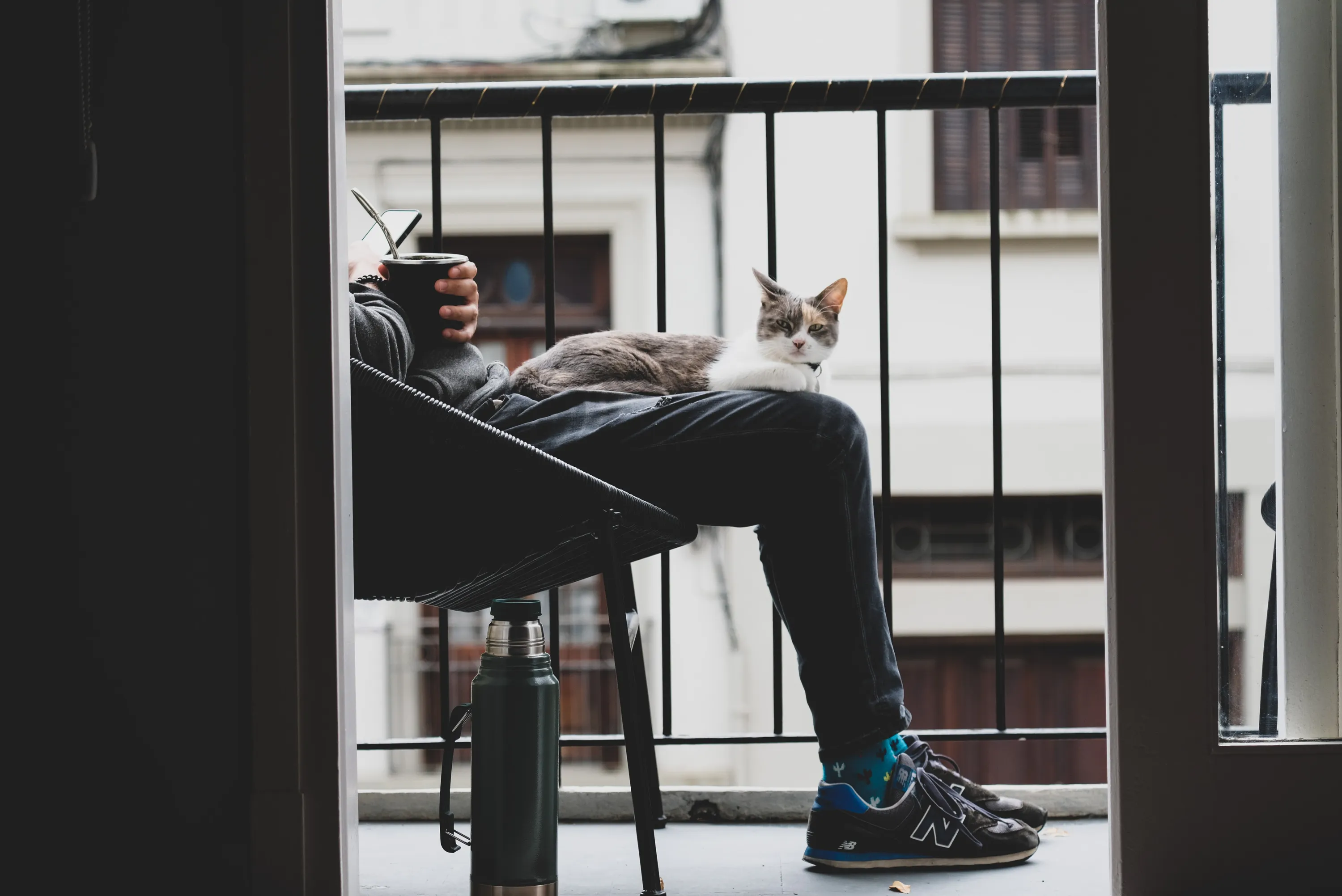 Как понять, что ты просто друг для кота