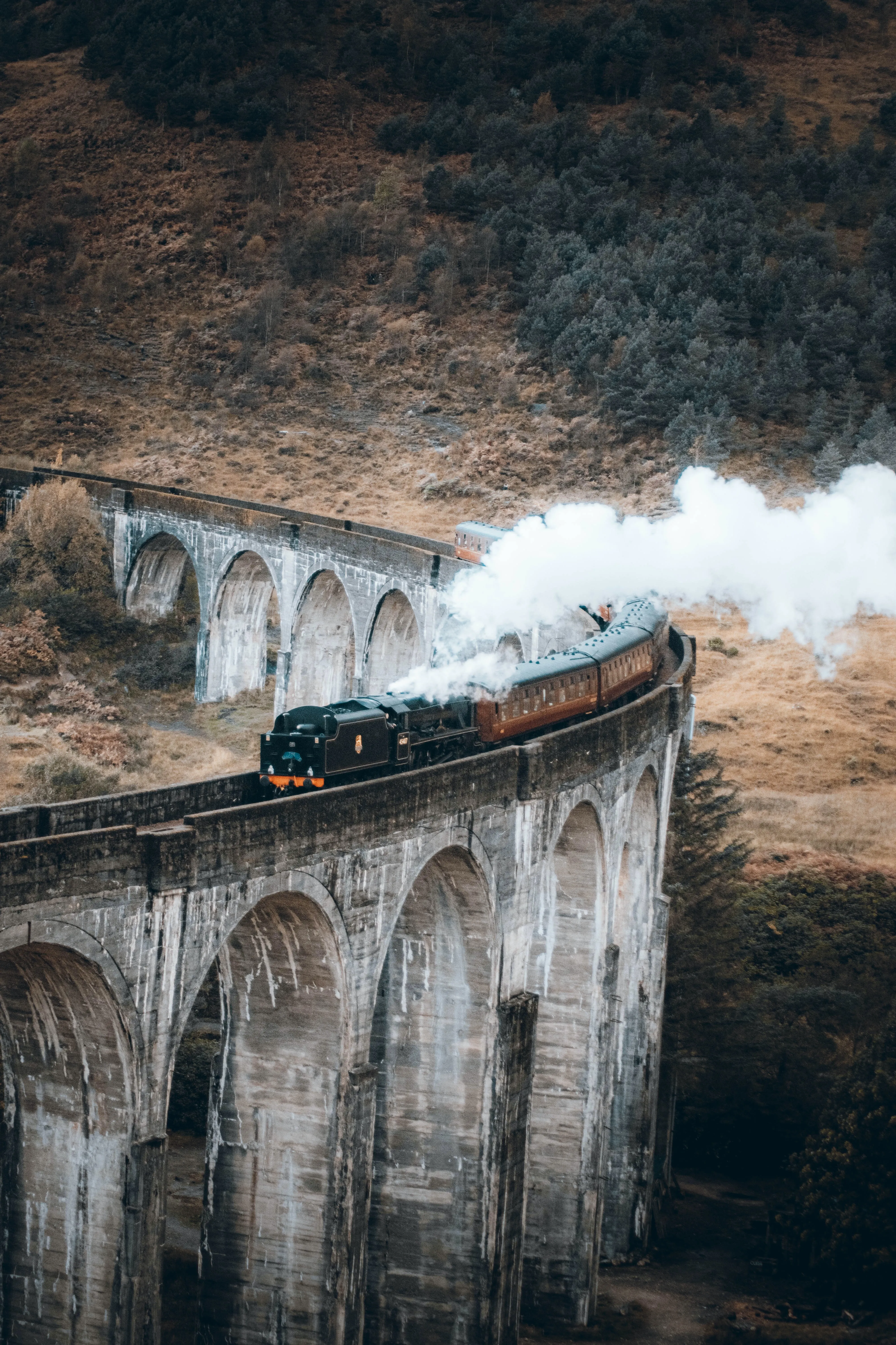 Железнодорожный маршрут через виадук в Шотландии