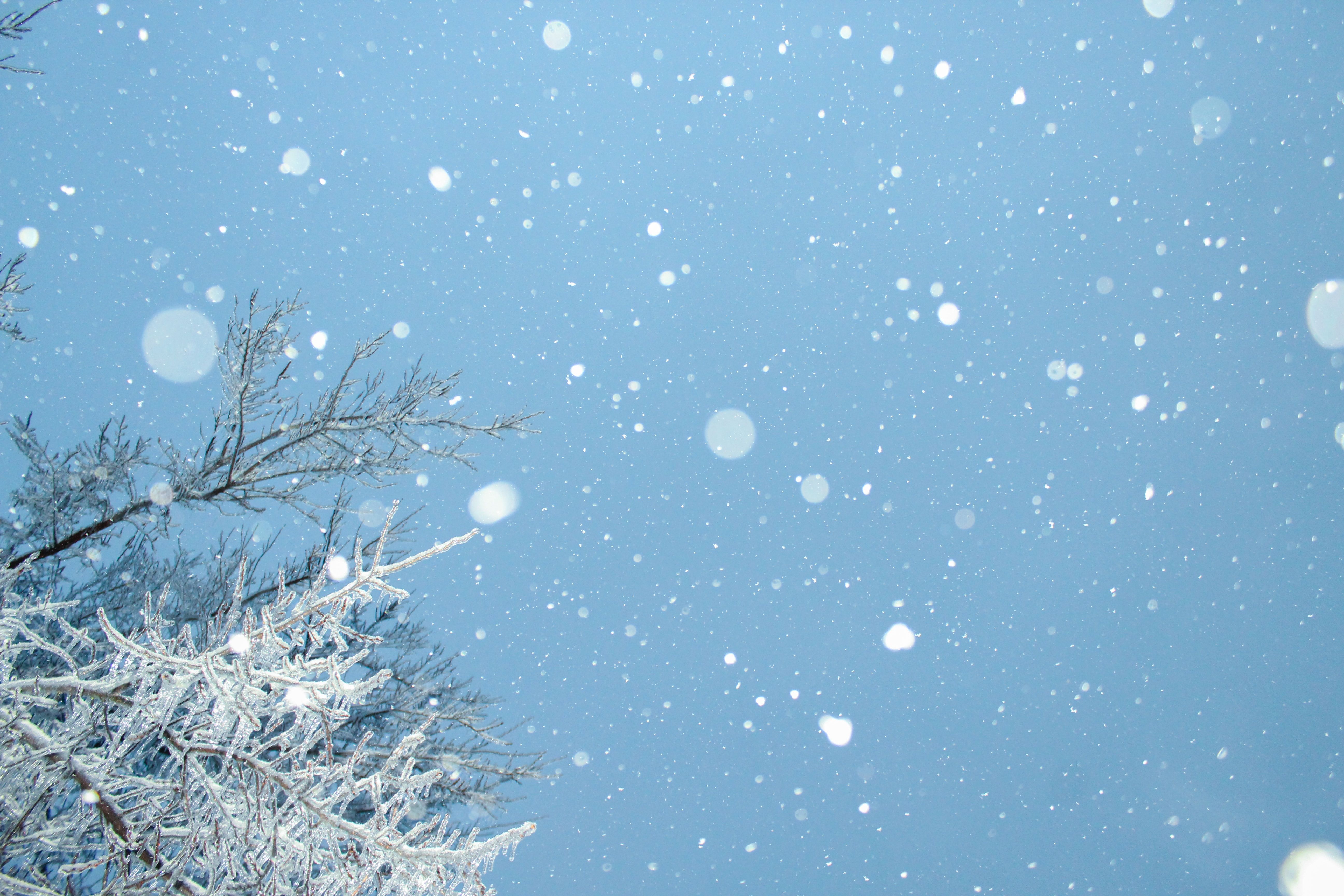 Погода в Україні у грудні 2023 - коли країну накриє мокрий сніг