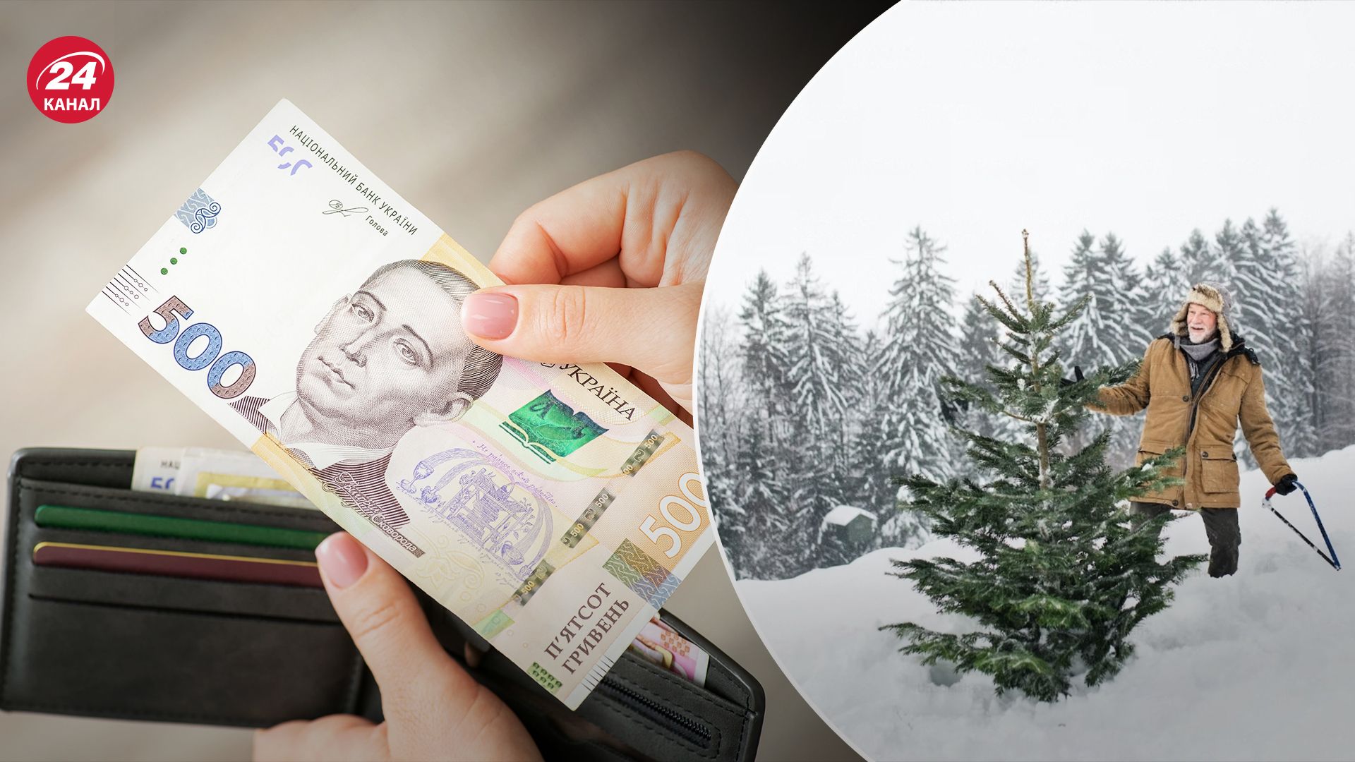 Українцям нагадали про штрафи за вирубку ялинок Українцям нагадали про штрафи за вирубку ялинок