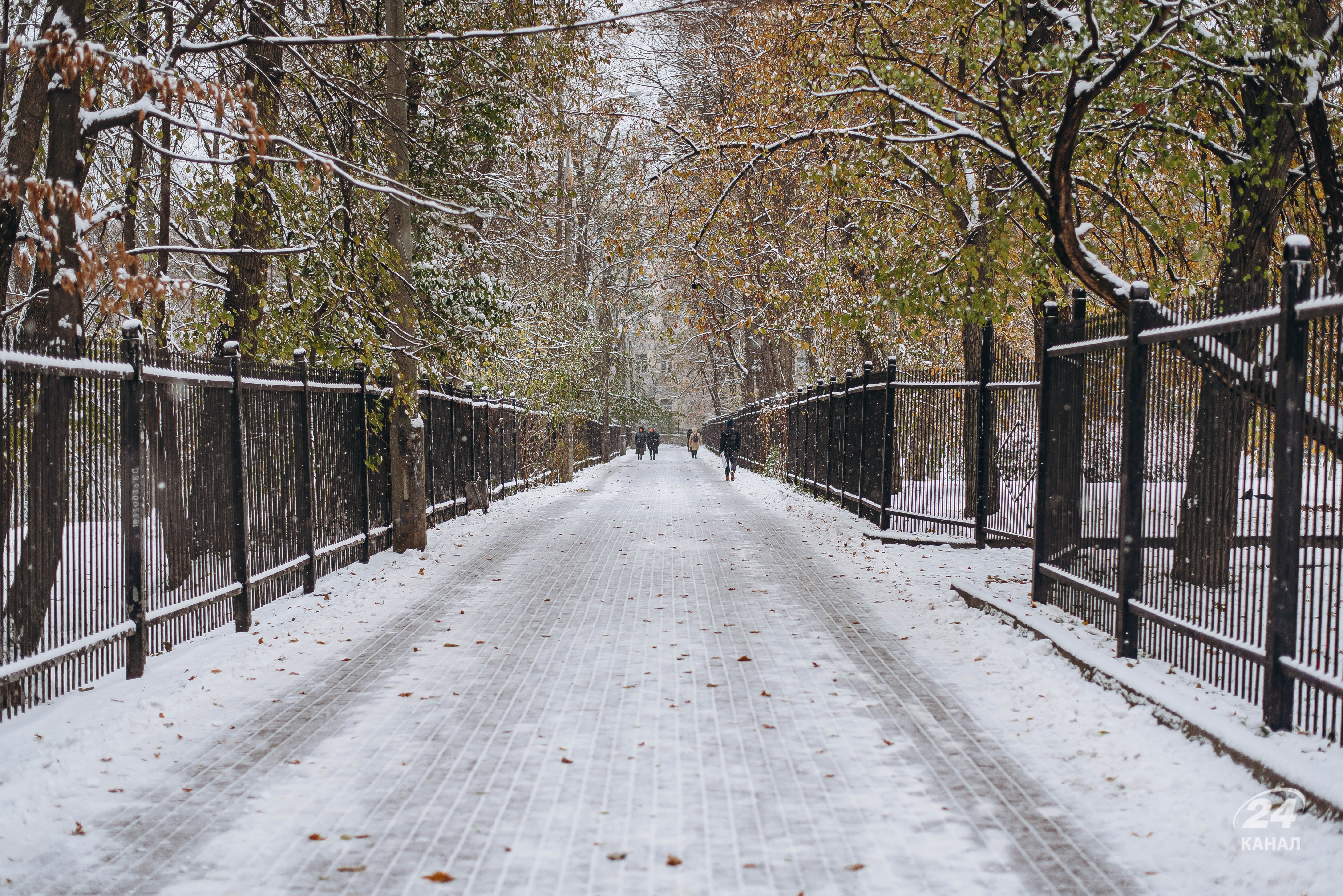 Прогноз погоди на 11 грудня Прогноз погоди на 11 грудня