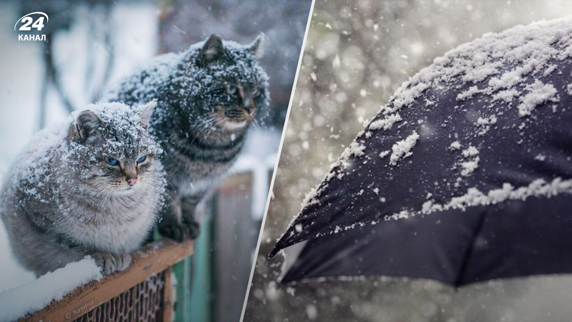 Прогноз погоди в Україні 12 грудня Прогноз погоди в Україні 12 грудня