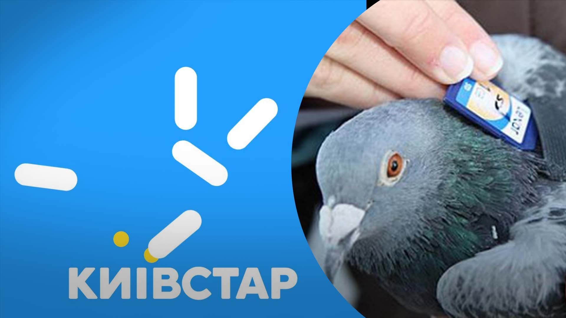 Як українці реагують на відсутність зв'язку в Київстар Як українці реагують на відсутність зв'язку в Київстар