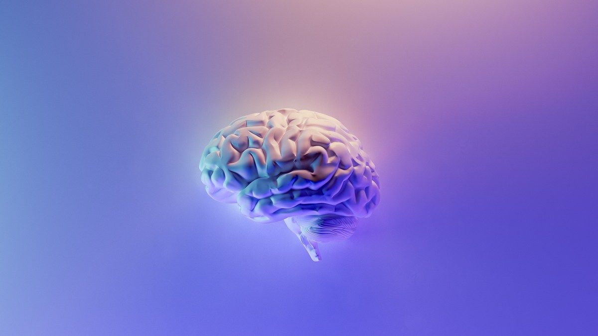 Ученые сделали важный шаг к созданию биокомпьютеров Ученые сделали важный шаг к созданию биокомпьютеров