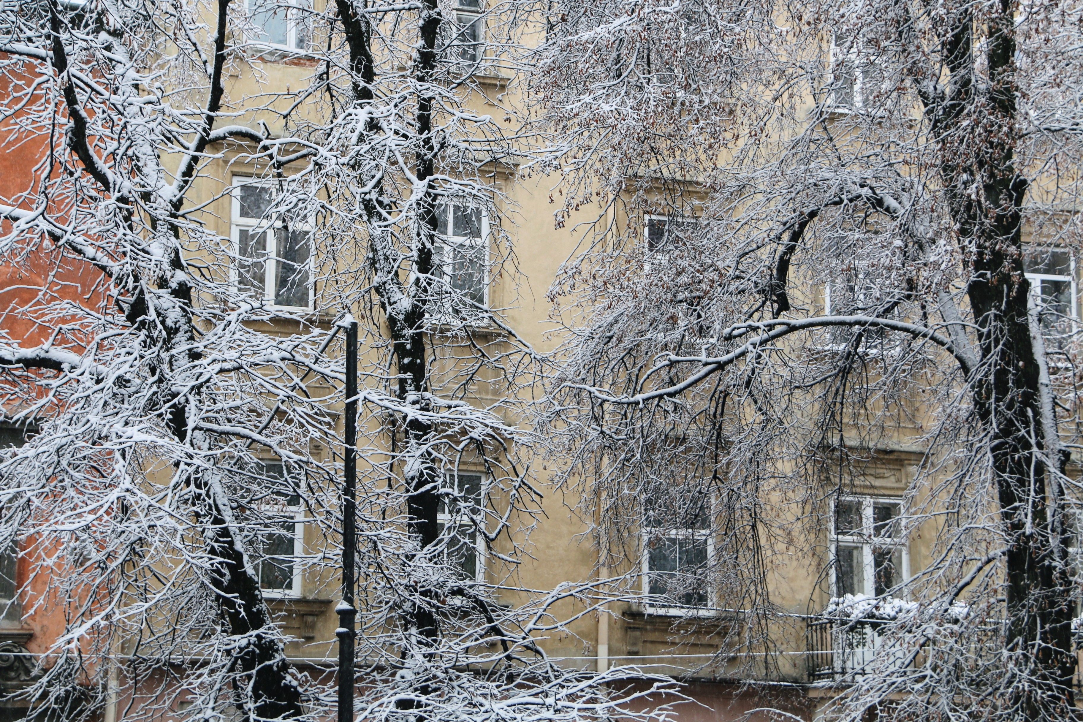 Погода в Україні 17 грудня