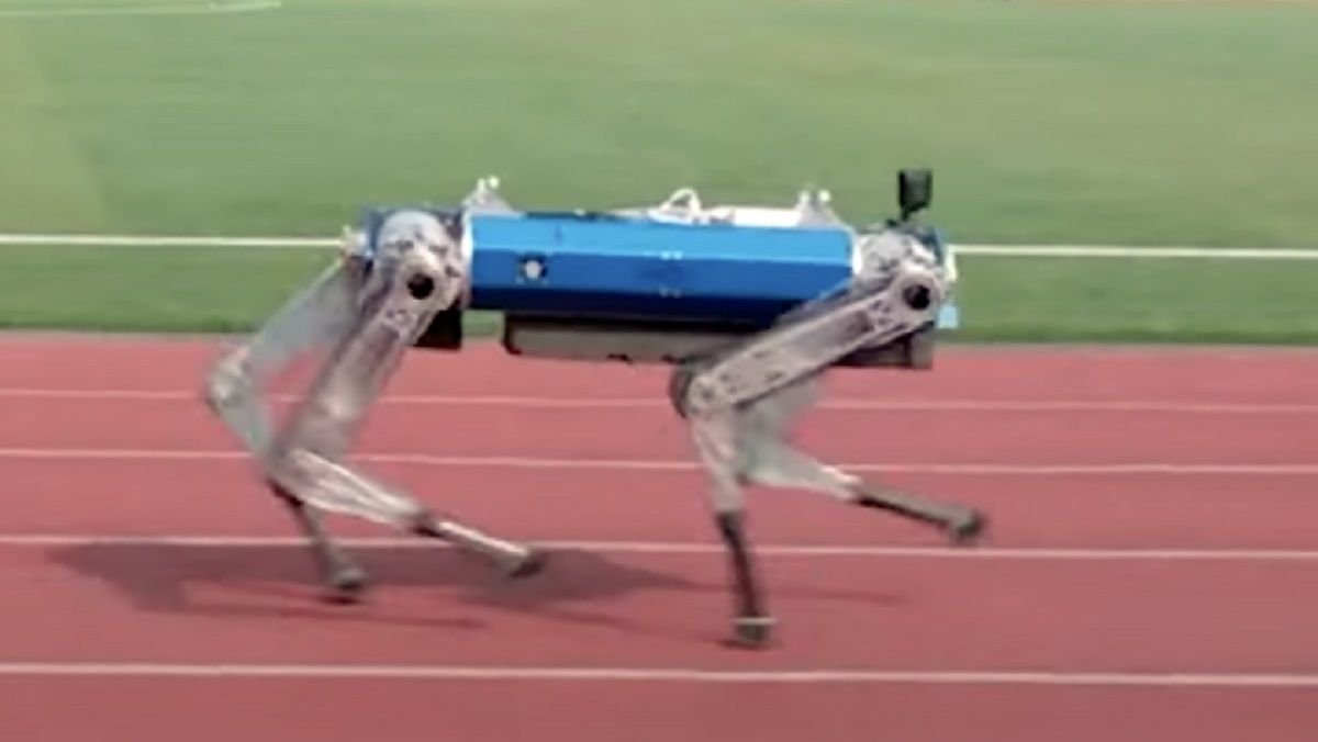 Робот-собака стал самым быстрым четвероногим роботом