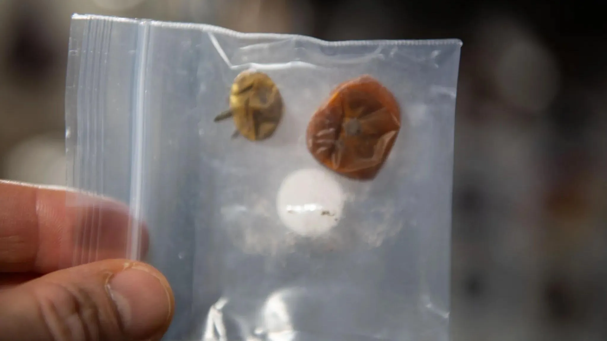 Зморщені помідори Зморщені помідори