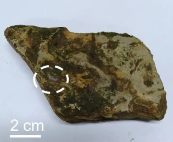 Камінь Камінь