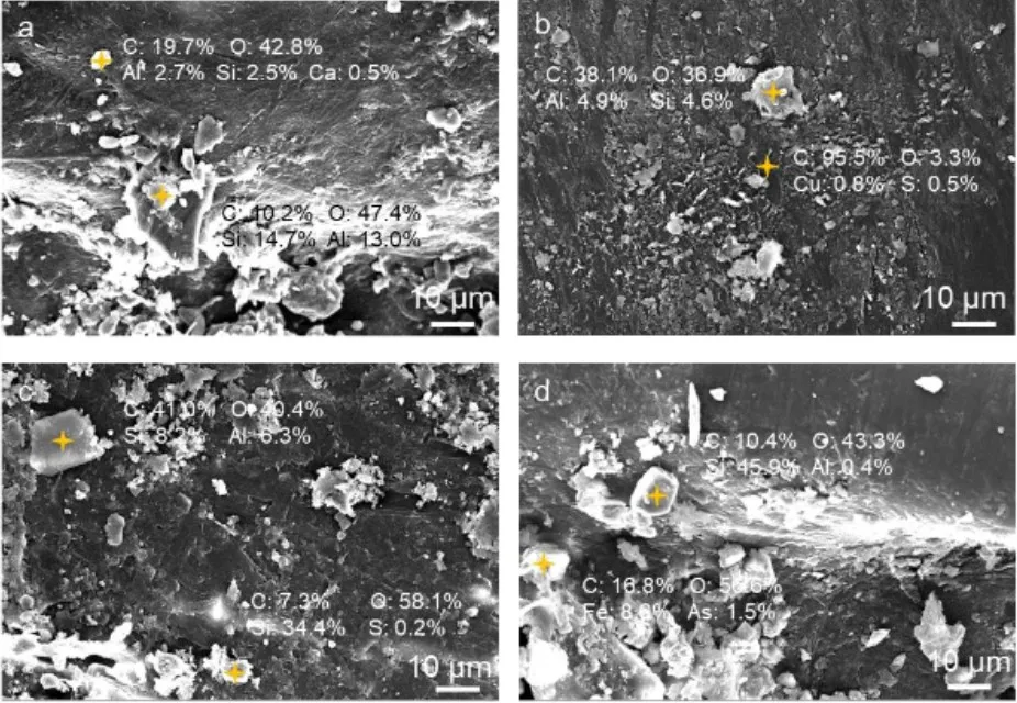 Структура елементів Структура елементів